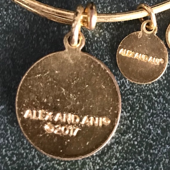 Alex and Ani Expandable Wire Bracelet - Picture 11 of 13